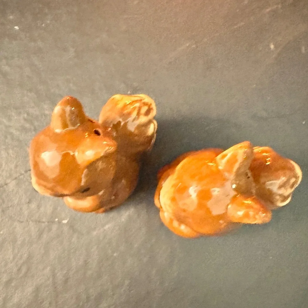 Cute Ceramic Squirrel Salt and Pepper‎ Shaker Set Brown Kitchen Decor